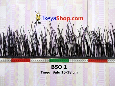 BSO 1  large2
